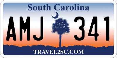 SC license plate AMJ341