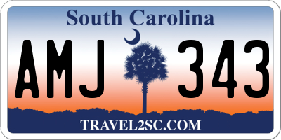 SC license plate AMJ343