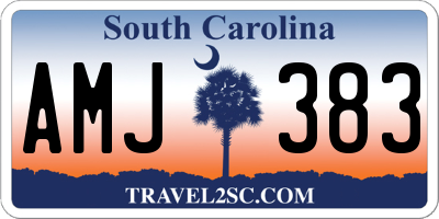 SC license plate AMJ383