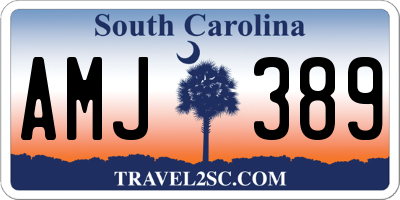 SC license plate AMJ389