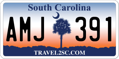 SC license plate AMJ391