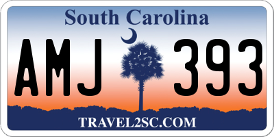 SC license plate AMJ393