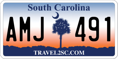 SC license plate AMJ491