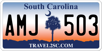 SC license plate AMJ503