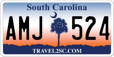 SC license plate AMJ524