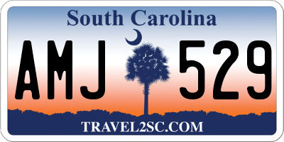SC license plate AMJ529
