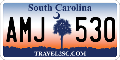 SC license plate AMJ530
