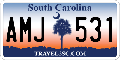 SC license plate AMJ531