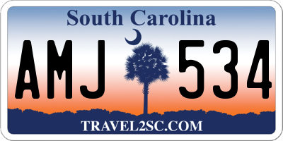 SC license plate AMJ534
