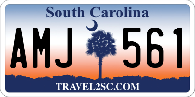 SC license plate AMJ561