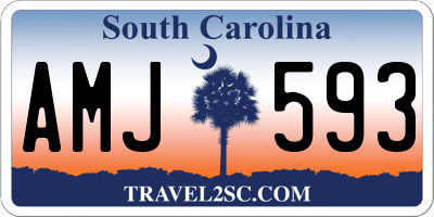 SC license plate AMJ593