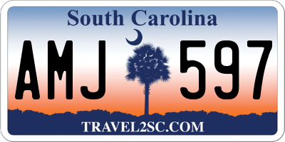 SC license plate AMJ597