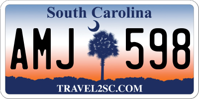 SC license plate AMJ598