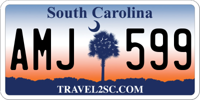 SC license plate AMJ599
