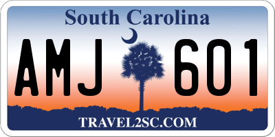 SC license plate AMJ601