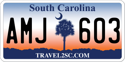 SC license plate AMJ603