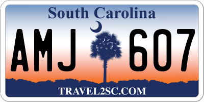 SC license plate AMJ607