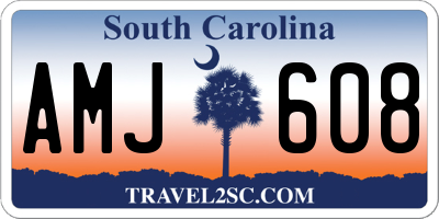 SC license plate AMJ608