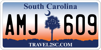 SC license plate AMJ609