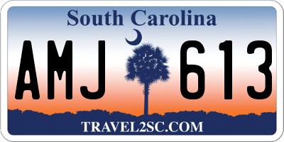 SC license plate AMJ613