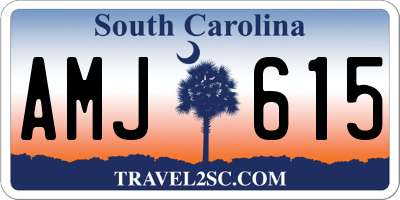 SC license plate AMJ615
