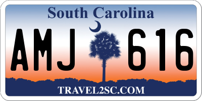 SC license plate AMJ616