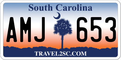 SC license plate AMJ653