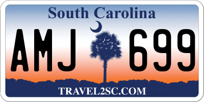 SC license plate AMJ699
