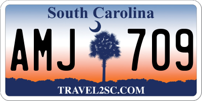 SC license plate AMJ709