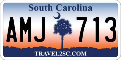 SC license plate AMJ713