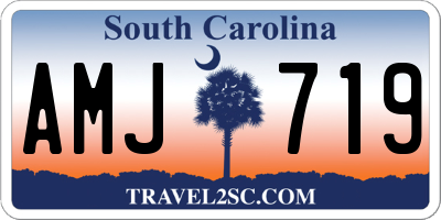 SC license plate AMJ719