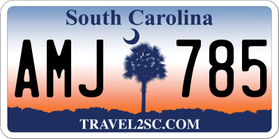 SC license plate AMJ785