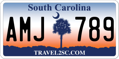 SC license plate AMJ789