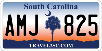 SC license plate AMJ825