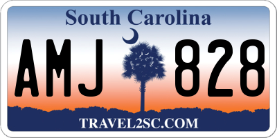 SC license plate AMJ828