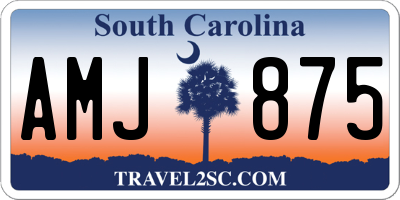 SC license plate AMJ875