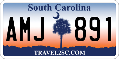 SC license plate AMJ891