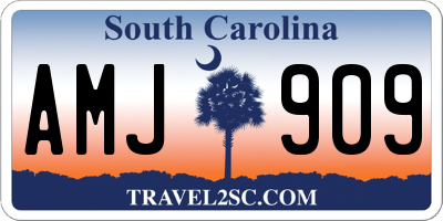 SC license plate AMJ909