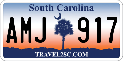 SC license plate AMJ917