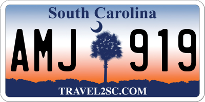 SC license plate AMJ919