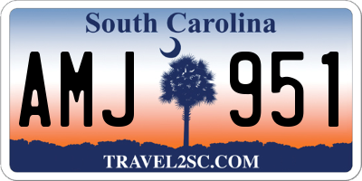 SC license plate AMJ951