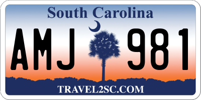 SC license plate AMJ981