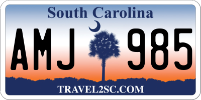 SC license plate AMJ985