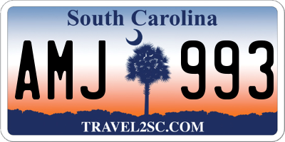 SC license plate AMJ993