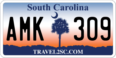 SC license plate AMK309