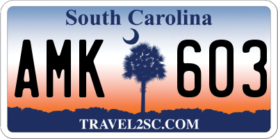 SC license plate AMK603