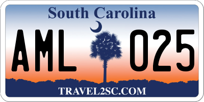 SC license plate AML025