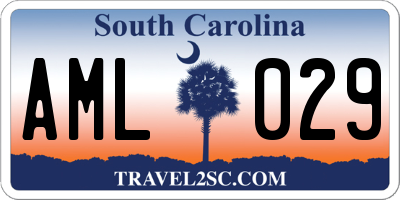 SC license plate AML029