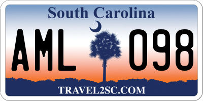 SC license plate AML098