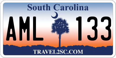 SC license plate AML133